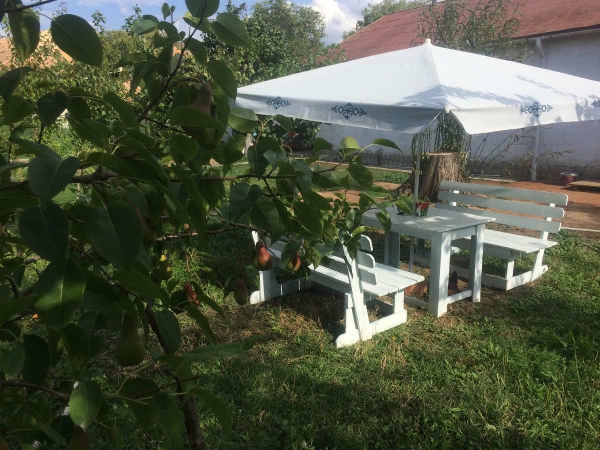 Eco House Summer Garden Kaji-Say Екстер'єр фото