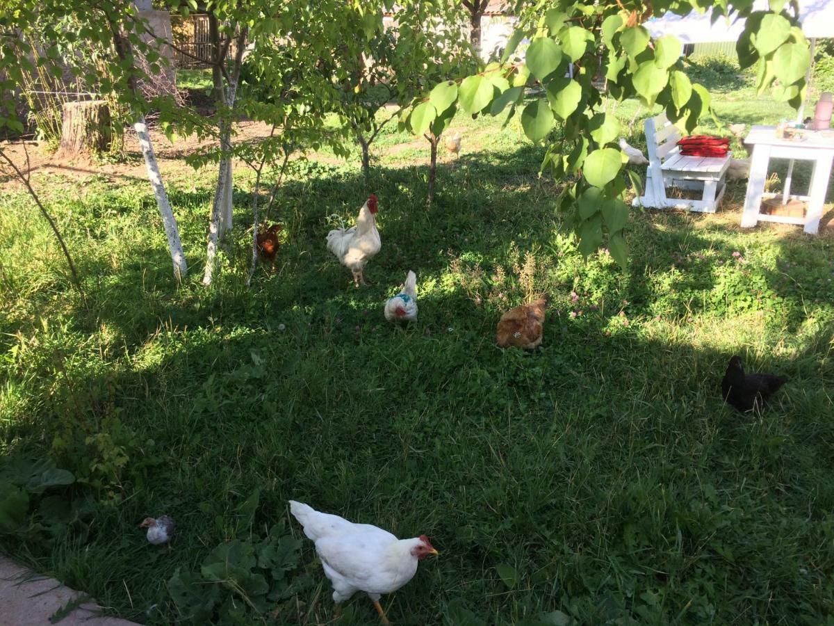 Eco House Summer Garden Kaji-Say Екстер'єр фото